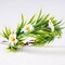 Hawaiian Flower Crown Set - 3 Pcs Hawaii Floral Headband and Tropical Plumeria Hair Clips